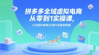 拼多多全域虚拟电商从零到1实操课，小白虚拟电商从0到1实操到精通-第一资源网