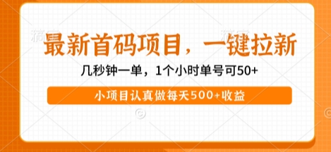 最新首码项目，操作最简单，收益高，一键拉新，1个小时单号可50+，小项目认真做每天5张+收益【揭秘】-第一资源网