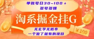 淘系掘金挂G项目，单账号日收益30~100+，多号多得，一个做了就有的项目【揭秘】-第一资源网