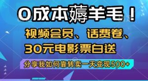 0成本薅羊毛!视频会员、话费卷、30元电影票白送，分享我如何靠转卖一天变现5张+【揭秘】-第一资源网