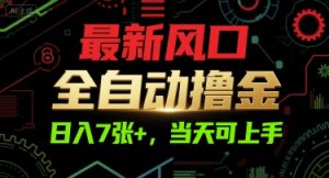 最新风口，全自动撸金，日入7张+，当天可上手【揭秘】-第一资源网