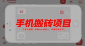 手机搬砖项目,有手就能做,亲测一小时几十,苹果安卓都可以-第一资源网