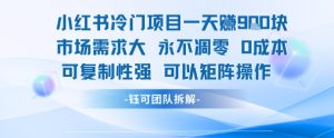 小红书冷门项目一天收益9张，市场需求大，0成本，可复制性强可以矩阵操作-第一资源网