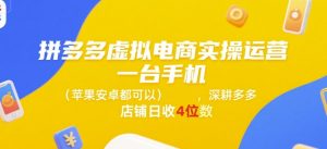 拼多多虚拟电商实操运营,一台手机(苹果安卓都可以),深耕多多店铺日收4位数-第一资源网