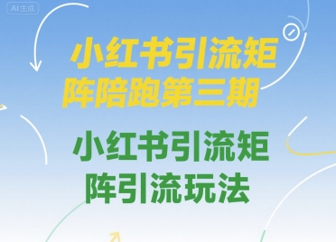 小红书引流矩阵陪跑第三期，小红书引流矩阵引流玩法-第一资源网