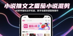 小说推文之番茄小说混剪40秒炸裂玩法手机版,新手也能快速复制操作-第一资源网