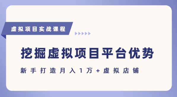 抓住虚拟项目各平台优势，新手轻松月入1W+(给出具体建议)-第一资源网
