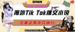 海外tiktok小说推文暴力项目,高停留率,高转化率,上手后一天搞顿饭钱不是问题-第一资源网
