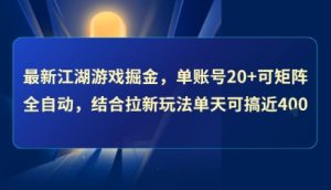 最新江湖游戏掘金,单账号20+可矩阵全自动 ,结合拉新玩法单天可搞4张+【揭秘】-第一资源网