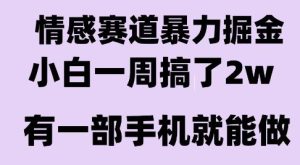 情感暴力掘金项目,新人操作一周挣了2W,长期稳定小白可做【揭秘】-第一资源网