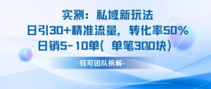 实测私域新玩法日引30加精准流量转化率50%日销5-10单每笔3张-第一资源网