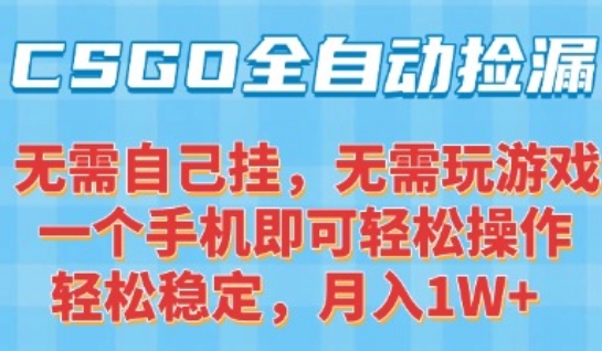 CSGO自动捡漏项目，最新独家玩法，一个手机可操作，新手小白轻松月入1W+，操作简单易上手【揭秘】-第一资源网