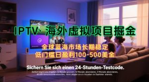【海外虚拟项目掘金】日入100-200美刀,自己在家就可以闷声发大财,长期可做,工作室可复制扩大【揭秘】-第一资源网