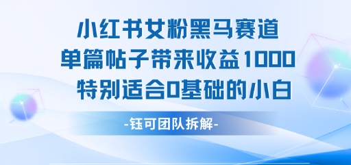 小红书女粉黑马赛道单篇帖子带来收益1k+，特别适合0基础的小白-第一资源网