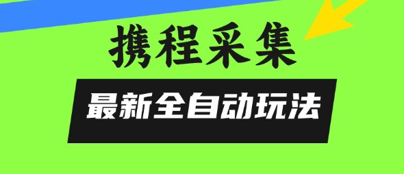 携程信息采集全自动玩法，0风控，无脑开干【揭秘】-第一资源网