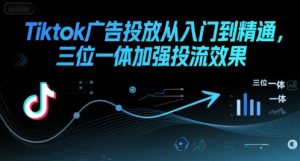 Tiktok广告投放从入门到精通,三位一体加强投流效果-第一资源网