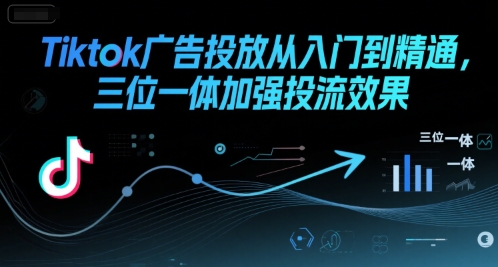 Tiktok广告投放从入门到精通，三位一体加强投流效果-第一资源网