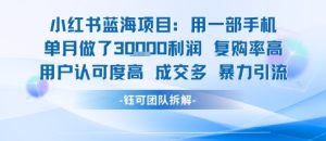 小红书蓝海项目,一部手机单月做了3W利润,小白也能月入过1W用户认可度高成交多-第一资源网