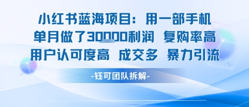 小红书蓝海项目，一部手机单月做了3W利润，小白也能月入过1W用户认可度高成交多-第一资源网