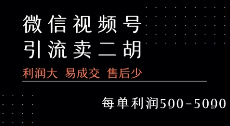 视频号卖二胡教程，利润大 易成交 售后少，一单利润5张+-第一资源网