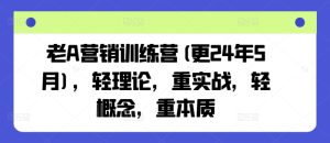 老A营销训练营(更25年7月),轻理论,重实战,轻概念,重本质-第一资源网