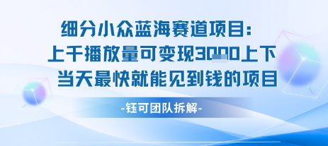 小众蓝海赛道项目：当天变现1k+适合新手操作 +适合长期玩-第一资源网