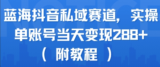 蓝海抖音私域赛道，实操单账号当天变现288+(附教程)-第一资源网