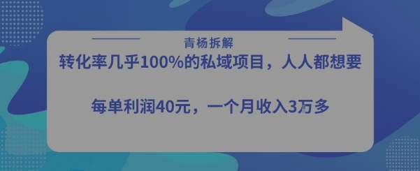 转化率最高的私域项目，每单利润40-50米，月入过1w-第一资源网