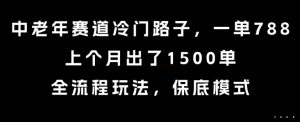 中老年赛道冷门路子，一单788，上个月出了1500单，全流程玩法，保底模式【揭秘】-第一资源网