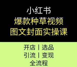 小红书爆款种草视频图文封面实操课,开店、选品、引流、变现全流程-第一资源网