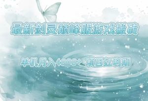 最新剑灵巅峰服游戏搬砖,项目红利期,单机稳定月入4k+操作简单好上手【揭秘】-第一资源网
