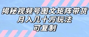 解密视频号图文矩阵带货,月入几个W的打法,可复制-第一资源网