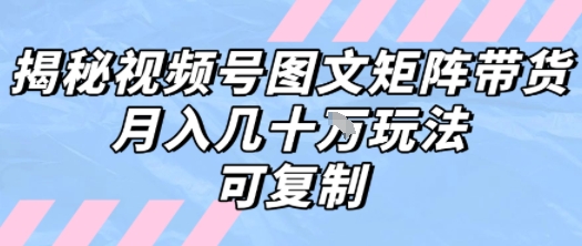 解密视频号图文矩阵带货，月入几个W的打法，可复制-第一资源网