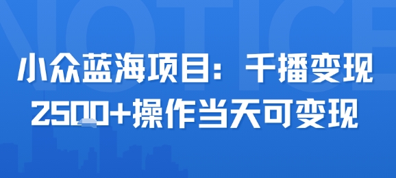 小众蓝海项目，千播变现2.5k+操作当天可变现-第一资源网