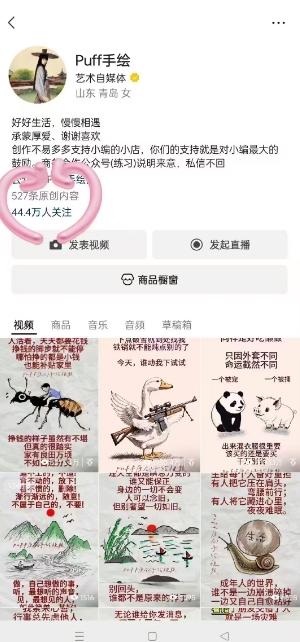 Puff手绘视频号分成项目，三天过分成计划，简单易上手，适合新手-第一资源网