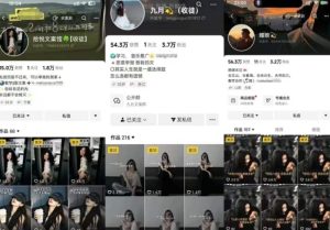 抖音图文文案赛道新玩法,快速养号起号,广告收益分成+橱窗带货+教学收徒等-第一资源网