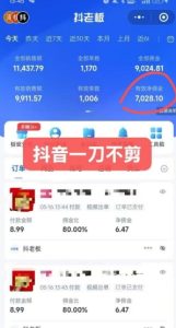 抖音短视频一刀不剪带货，不剪辑，不直播，每天发个视频，等着出单获取带货佣金-第一资源网