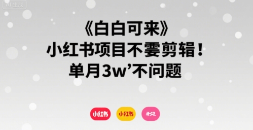 小白可来 小红书项目不需要剪辑 单月3w不是问题-第一资源网