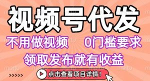 视频号代发,不用剪辑不用做视频,0门槛要求,领取发布就有收益,任务没有无上限,小白轻松上手【揭秘】-第一资源网