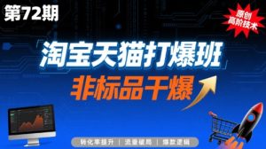 淘宝天猫打爆班原创高阶技术第72期,非标品干爆-第一资源网