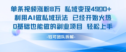 单条视频私域变现4.9k+利用AI做私域玩法 已经开始火热0基础也能做的副业项目轻松上手-第一资源网