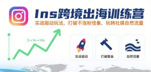 Ins跨境出海训练营,实战驱动玩法,打破不涨粉怪象,玩转社媒自然流量-第一资源网