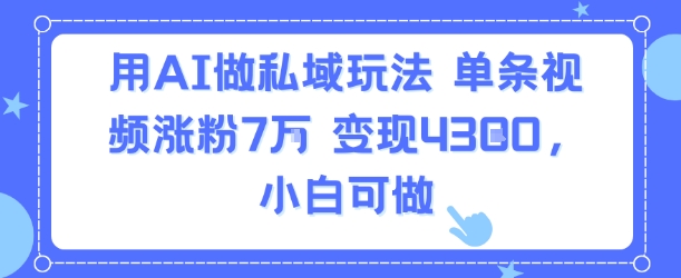 用AI做私域玩法，单条视频涨粉7W变现4.3k，小白可做-第一资源网