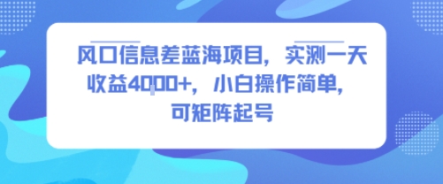 风口信息差蓝海项目，实测一天收益4k+，小白操作简单，可矩阵起号-第一资源网