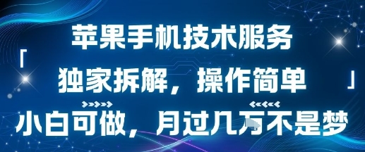 苹果手机技术服务，独家拆解，操作简单，小白可做，月过1W不是梦-第一资源网