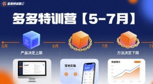 多多特训营【5-7月】产品决定上限，方法决定下限，各种玩法技巧落地实操-第一资源网
