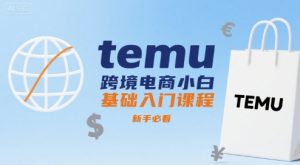 temu跨境电商小白基础入门课程，新手必看-第一资源网