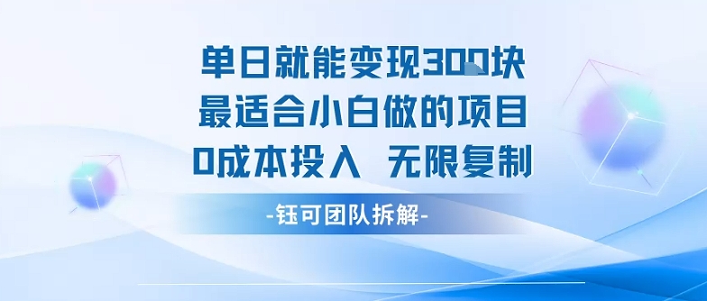 单日就能变现3张最适合小白做的项目0成本投入 无限复制-第一资源网