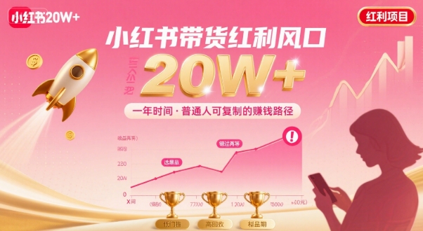 一年时间靠小红书带货项目年入20w+，最不能错的大红利项目-第一资源网