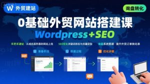 WordPress外贸建站+SEO优化课程，手把手教你从0到1搭建可获得询盘的外贸网站-第一资源网